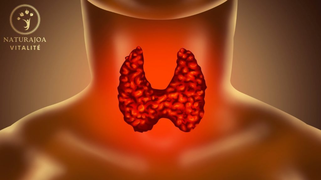 Soigner l'Hypothyroïdie Naturellement : Remèdes et Conseils Pratiques naturajoa.com