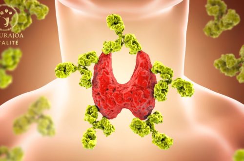 Comprendre et Gérer l'Hypothyroïdie: Symptômes, Traitements et Conseils naturajoa.com