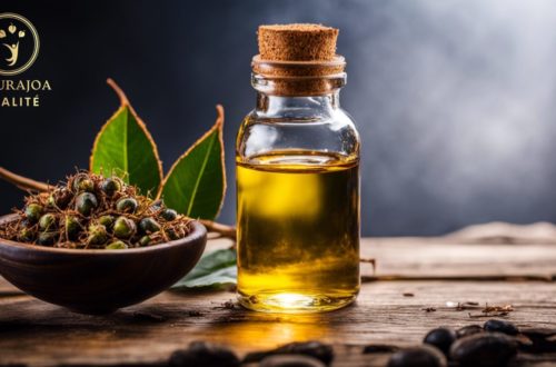 Guide pratique : Comment utiliser l'huile de ricin pour des bienfaits extraordinaires naturajoa.com