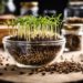 Faire Germer les Graines : Guide Pratique pour Réussir la Germination la naturopathie sportive naturajoa.com